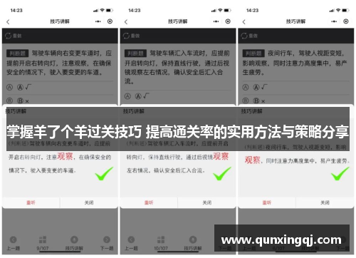 掌握羊了个羊过关技巧 提高通关率的实用方法与策略分享